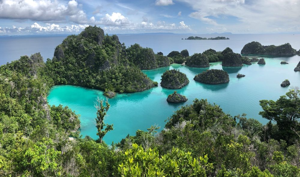 Cara ke Raja Ampat Tanpa Tour Agent: Rute, Biaya, dan Homestay Lokal