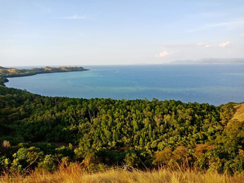 Itinerary Belitung 2 Hari 1 Malam Budget Rp900 Ribu: Rincian Biaya dan Rute